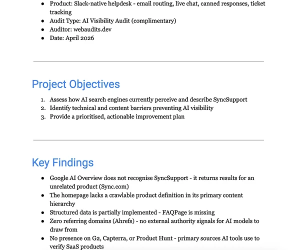 Project objectives and audit scope overview - SyncSupport AI Visibility Audit