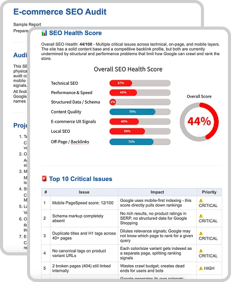 e-commerce-seo-audit-preview 1